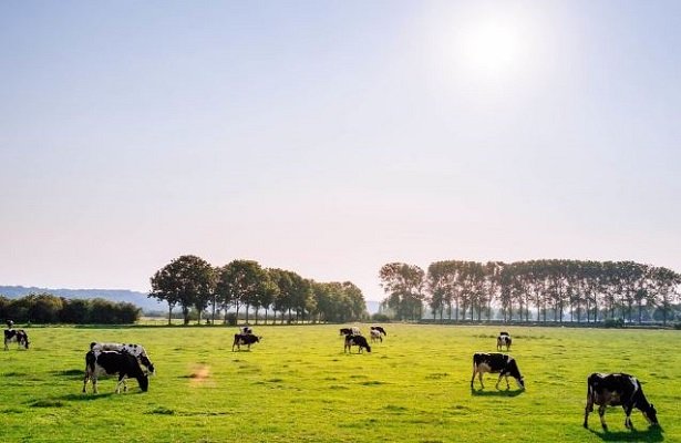 prodotti biologici prodotti biologici