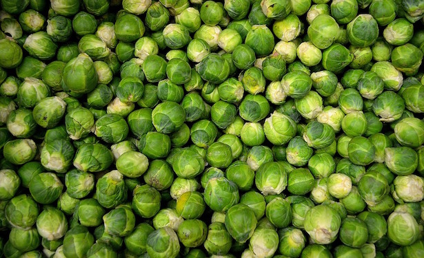 cavolini bruxelles coltivazione