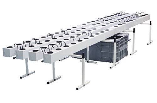 coltivazione aeroponica come funziona