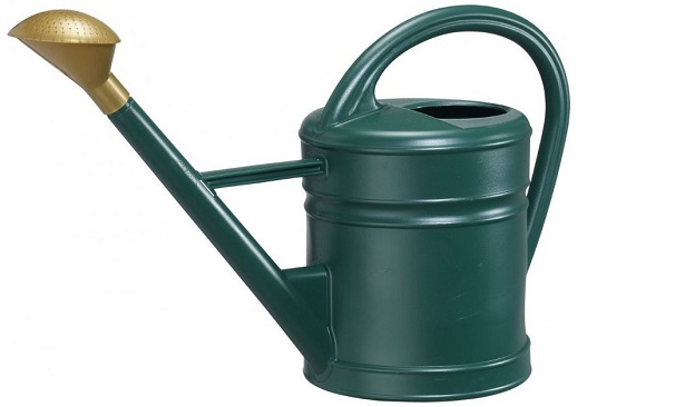 Come annaffiare le piante Come annaffiare le piante