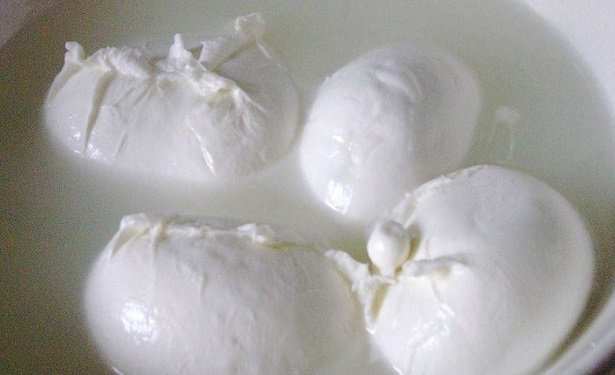 Fermenti Lattici Vivi Fermenti Lattici Vivi