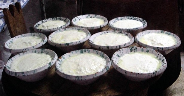 fermenti lattici vivi fermenti lattici vivi