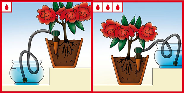 irrigare piante durante le vacanze