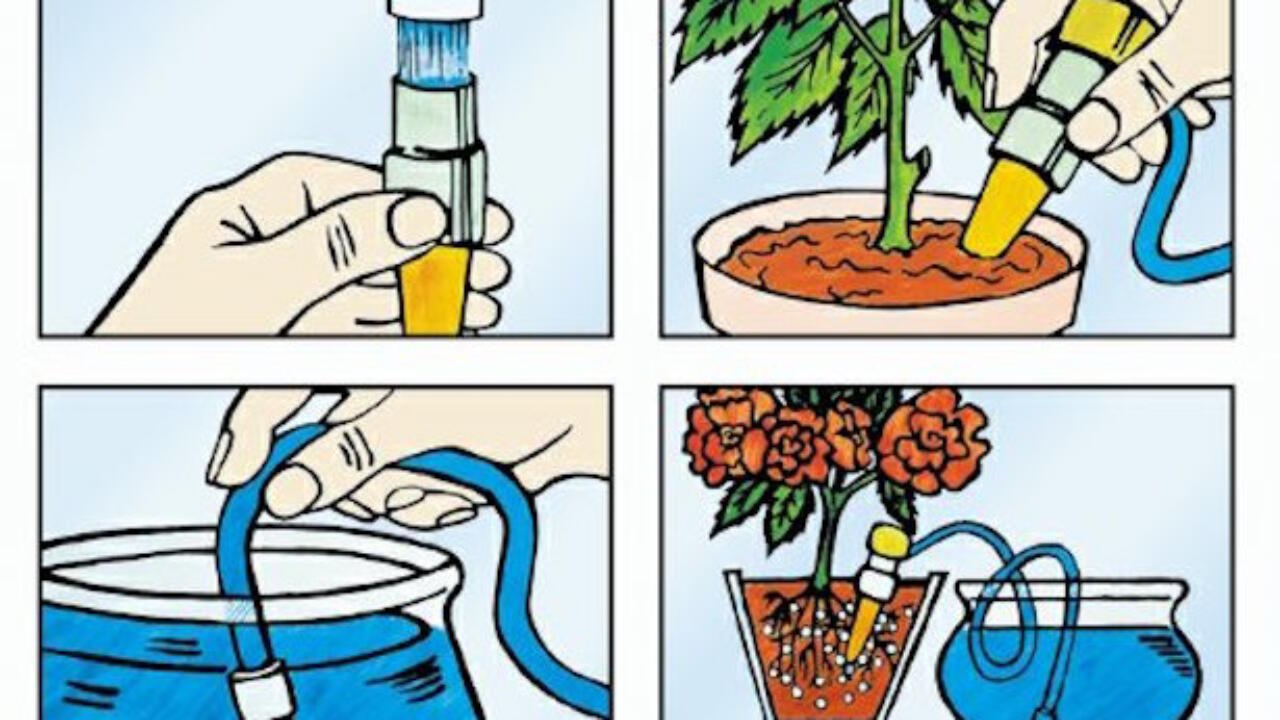 отстоянная вода для цветов. Glass of water wikihow. полив цветов дистиллированной водой. полив цветов дистиллированной водой. Gardena автополив комнатных растений.