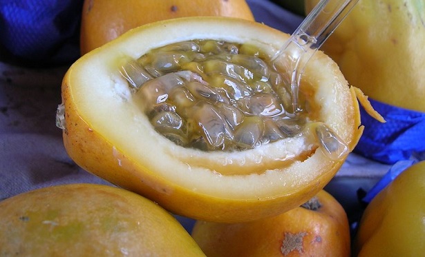 Maracuja Caulonia: pianta Maracuja Caulonia: pianta