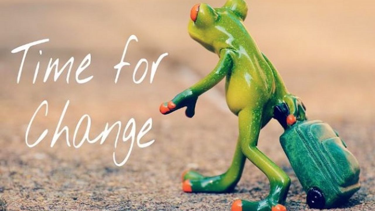 Resilienza Significato E Definizione Idee Green