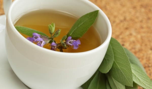 stomatite rimedi naturali