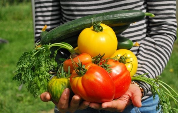 Agricoltura biodinamica Agricoltura biodinamica