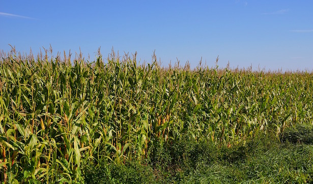 agroenergie che cosa sono