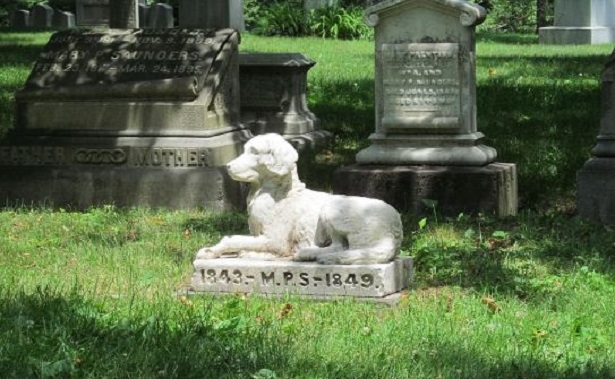 Cimitero animali 