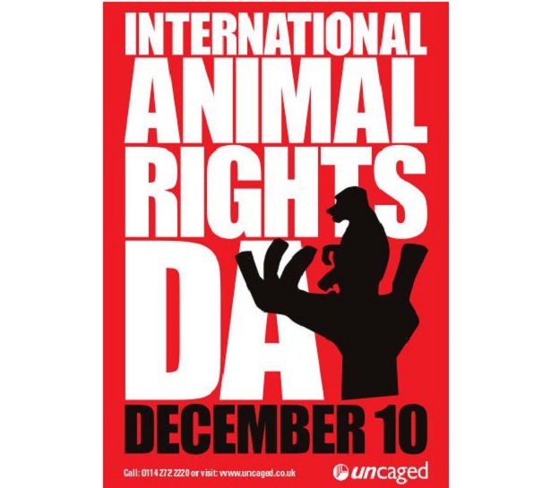 Giornata Internazionale Diritti degli animali