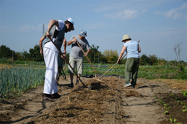 Permacultura orto sinergico