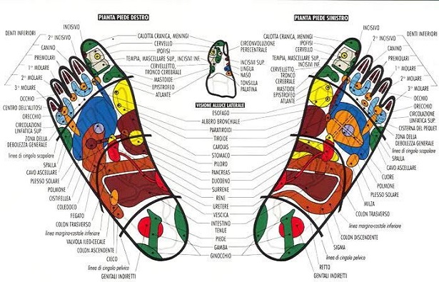 Riflessologia plantare Riflessologia plantare
