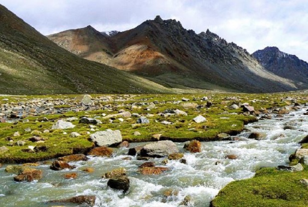 5 tibetani 5 tibetani