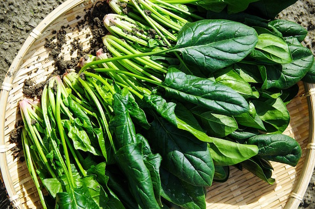 vellutata di spinaci