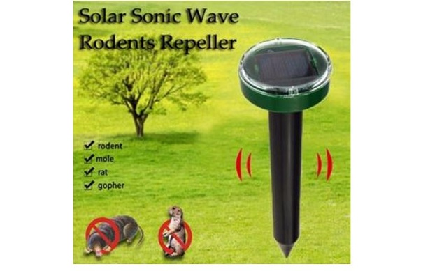 Come allontanare le talpe dal giardino