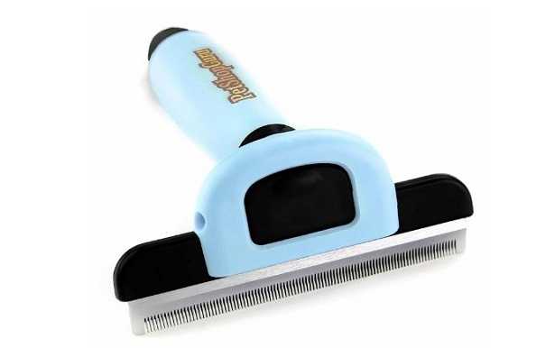 Cambio pelo del gatto Cambio pelo del gatto