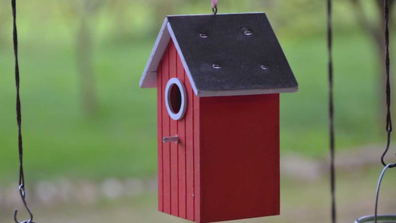 Come Costruire Una Casetta Per Gli Uccelli Idee Green
