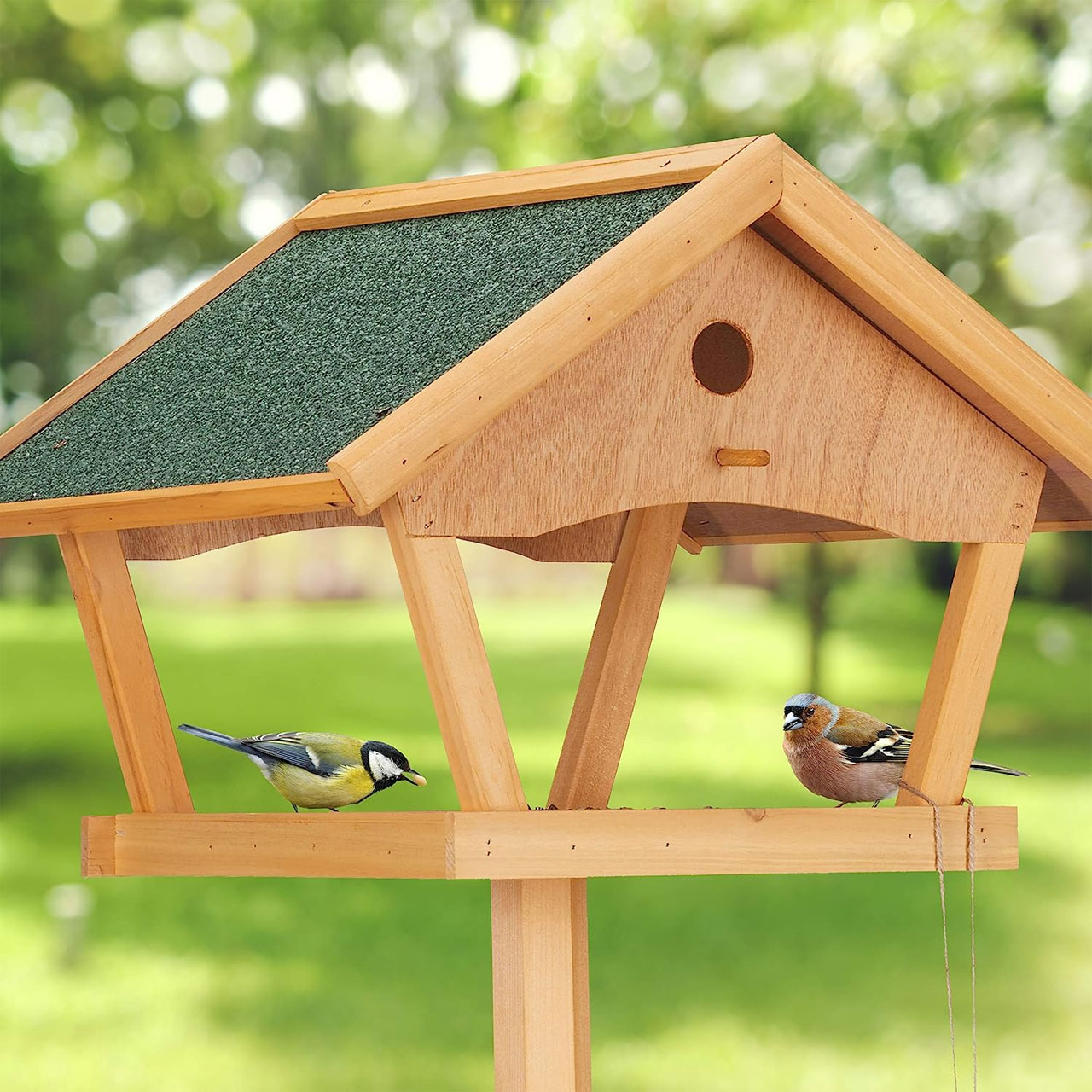 casetta uccellini legno