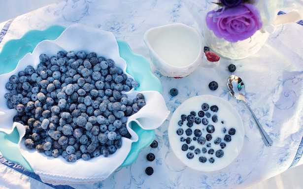 coltivare mirtilli in vaso