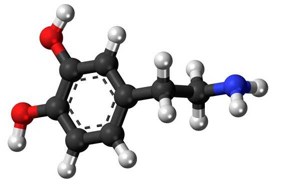 Dopamina naturale