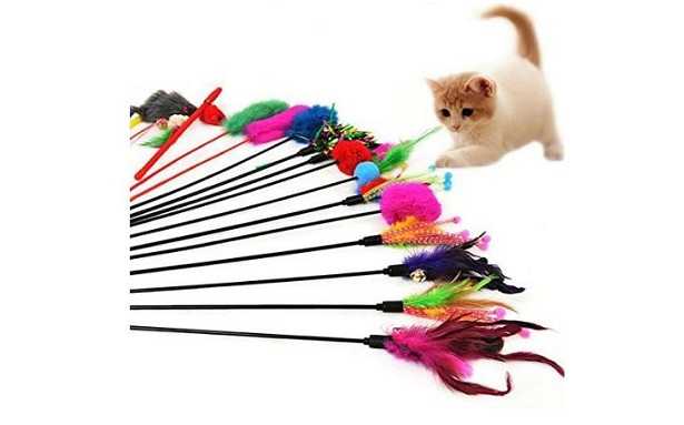 Giochi per gatti fai da te