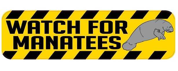 Lamantini e Dugonghi Lamantini e Dugonghi