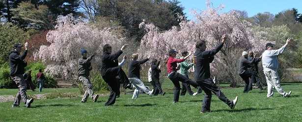 Tai Chi