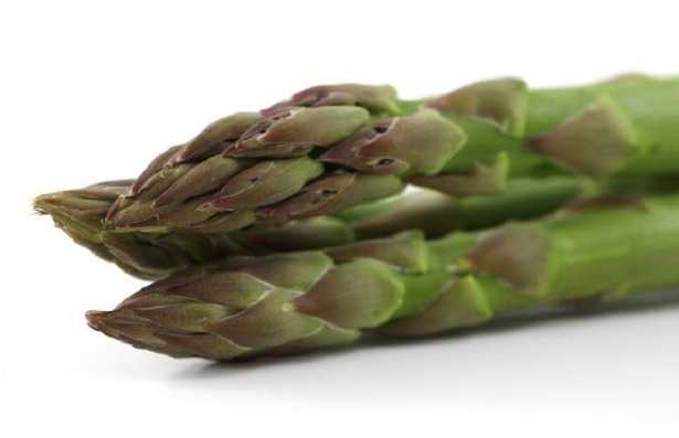 Flora batterica intestinale