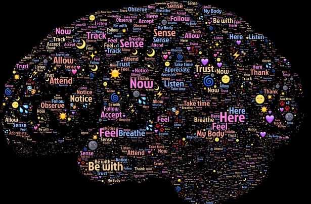 musica e cervello musica e cervello