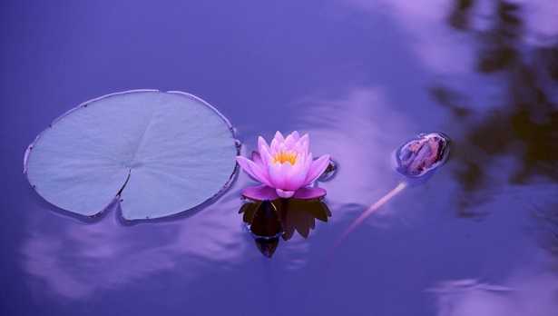 Musiche per meditazione