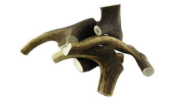 Ossa ai cani Ossa ai cani