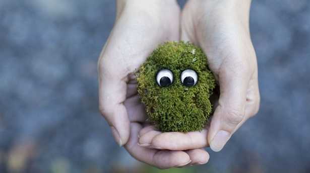 Non superare la soglia