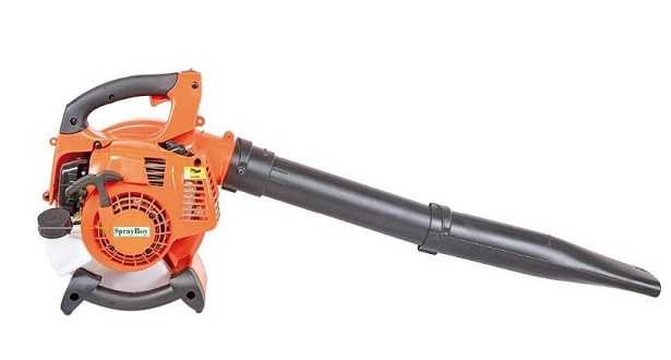 Soffiatore per foglie secche