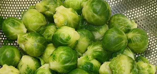 cavolini di Bruxelles