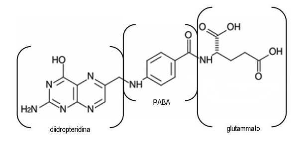 formula chimica acido folico