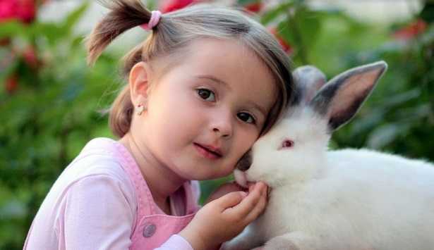 proteggere gli animali dal caldo