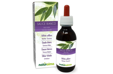 salice bianco tintura madre