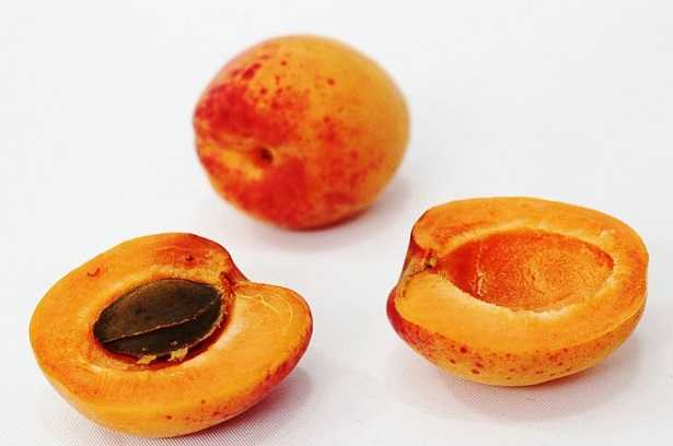 Semi di albicocca Semi di albicocca