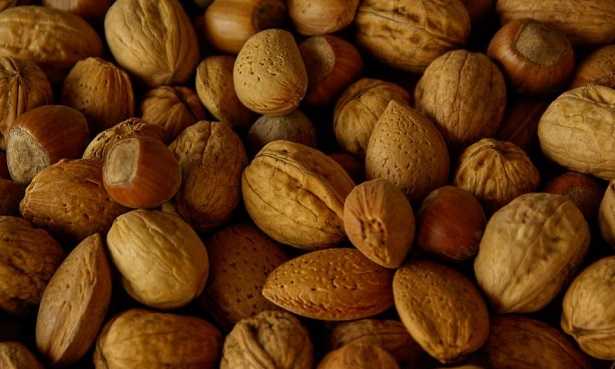 Semi di albicocca Semi di albicocca