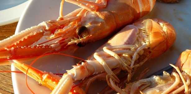 Allergeni alimentari Allergeni alimentari