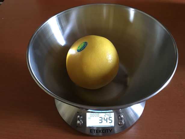 bilancia pesa alimenti digitale