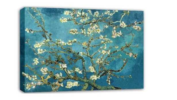 Fiori di mandorlo Fiori di mandorlo