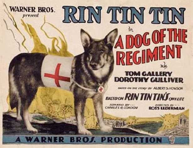 Cani famosi Cani famosi