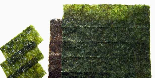 Alghe marine Alghe marine