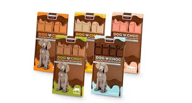 Cioccolato e cani Cioccolato e cani