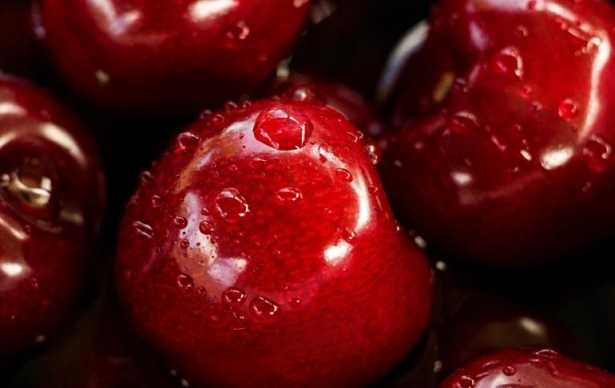 dieta del supermetabolismo