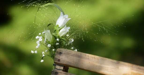 matrimonio in campagna