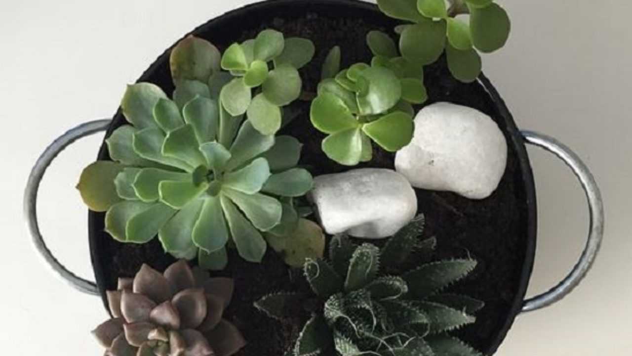 Mini Giardini Come Farli Idee Green