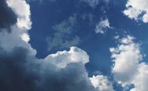 Pareidolia Pareidolia